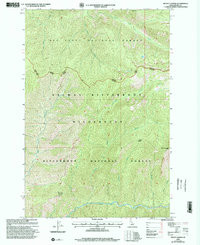 MOUNT GEORGE, ID HISTORICAL MAP GEOPDF 7