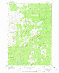 WARNICKE CREEK, OR HISTORICAL MAP GEOPDF