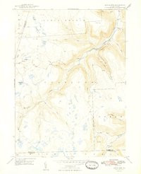 DUTCH MOUNTAIN, PA HISTORICAL MAP GEOPDF