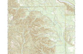 LOWER PEACH TREE, AL