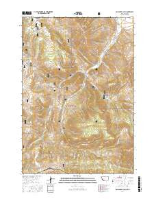 GALLAGHER GULCH, MT-ID