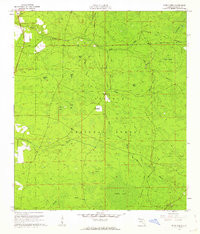 DEEP CREEK, FL HISTORICAL MAP GEOPDF 7.5