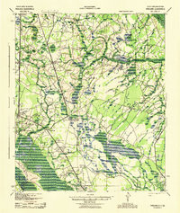 PINELAND, SC-GA HISTORICAL MAP GEOPDF 15