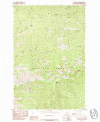 SAINT PATRICK PEAK, MT HISTORICAL MAP GE