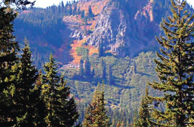 GIFFORD PINCHOT NF - TRAPPER CREEK, WA