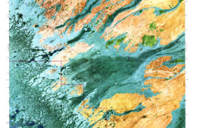 GATOR HOOK SWAMP, FL