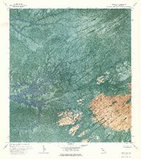 TARPON BAY, FL HISTORICAL MAP GEOPDF 7.5