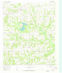 LEESBURG, TX HISTORICAL MAP GEOPDF 7.5X7