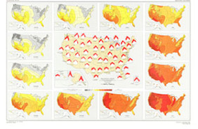 MONTHLY SUNSHINE: 1965, US