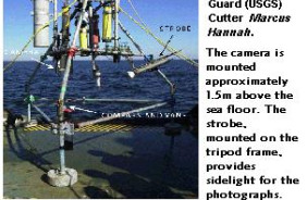 WESTERN MASSACHUSETTS BAY PHOTO 99-2002