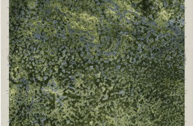 THOMPSON PINE ISLAND, FL