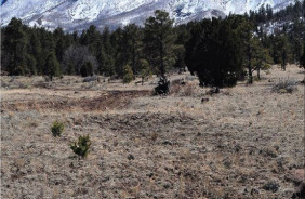APACHE-SITGREAVES NF - ESCUDILLA, AZ