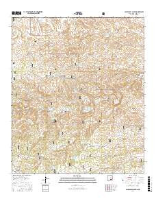 PACKSADDLE CANYON, NM