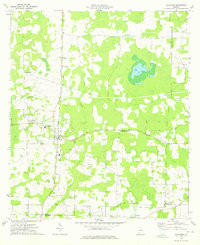 DAMASCUS, GA HISTORICAL MAP GEOPDF 7.5X7