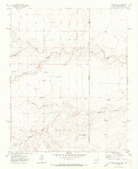 AMISTAD SE, NM-TX HISTORICAL MAP GEOPDF