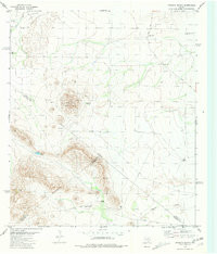 LEONCITA RANCH, TX HISTORICAL MAP GEOPDF