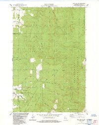 IRON LAKE NE, WI HISTORICAL MAP GEOPDF 7