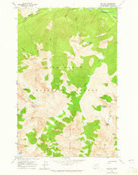 MOUNT LYALL, WA HISTORICAL MAP GEOPDF 7.