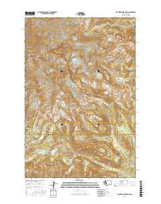 MOUNT RAINIER EAST, WA