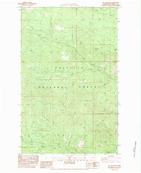 BULLDOG MOUNTAIN, WA HISTORICAL MAP GEOP