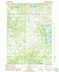 CHIPPEWA LAKE SOUTH, MI HISTORICAL MAP G