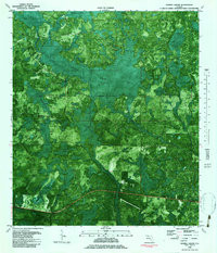 TENMILE SWAMP, FL HISTORICAL MAP GEOPDF