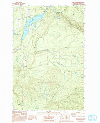 LAKE KAPOWSIN, WA HISTORICAL MAP GEOPDF