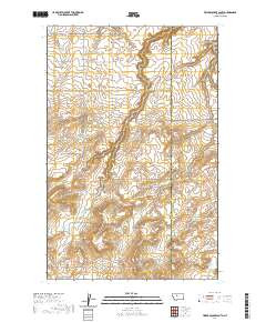 TIMBER COULEE SOUTH, MT