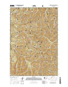 GUMBOOT MOUNTAIN, WA