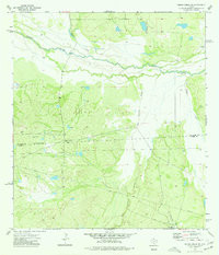PIEDRA CREEK SW, TX HISTORICAL MAP GEOPD