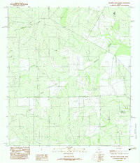 MESTENO CREEK SOUTH, TX HISTORICAL MAP G