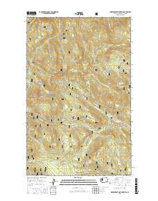 INDEPENDENT MOUNTAIN, WA