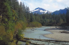 TONGASS NF - JUNEAU AREA TRAILS GUIDE