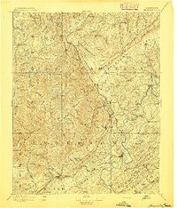 BRICEVILLE, TN HISTORICAL MAP GEOPDF 30X