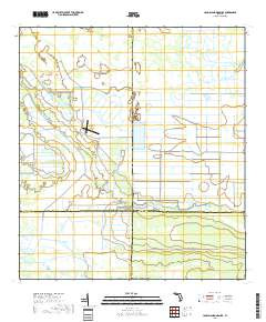 LONG ISLAND MARSH SE, FL