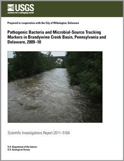 PATHOGENIC BRANDYWINE CREEK BASIN, PA
