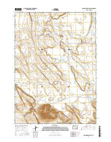 IRON MOUNTAIN FLAT, OR