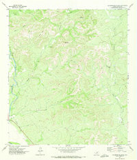 SYCAMORE MOUNTAIN, TX HISTORICAL MAP GEO