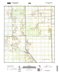 LITTLE CYPRESS SWAMP, FL