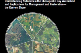 NUTRIENTS, CHESAPEAKE BAY, EASTERN SHORE