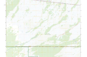 GATOR HOOK SWAMP, FL