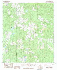 BROWNS LAKE, MS HISTORICAL MAP GEOPDF 7.