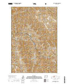 CACTUS MOUNTAIN, OR-ID