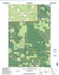 ALVWOOD, MN HISTORICAL MAP GEOPDF 7.5X7.
