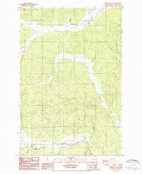 RAINBOW FALLS, WA HISTORICAL MAP GEOPDF