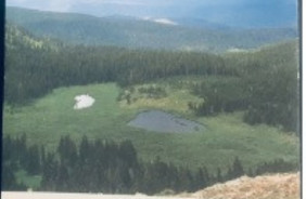 CARSON NF, NM