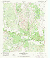 BEAVER CREEK, TX HISTORICAL MAP GEOPDF 7