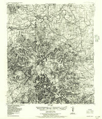 COMFORT, TX HISTORICAL MAP GEOPDF 15X15