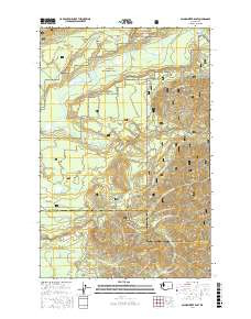 SALMON RIVER EAST, WA