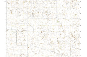 ALTA VISTA RANCH, TX